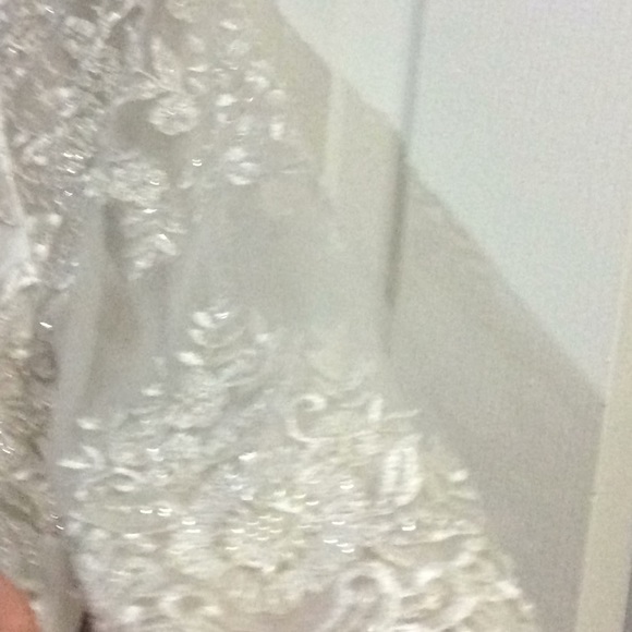 Wedding Dress - Picture 6 of 7